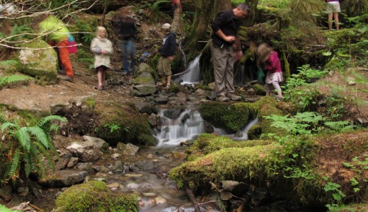 A Creek Runs Through It