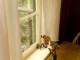 Cabin 1 Window