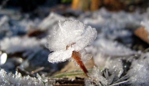 Hoarfrost
