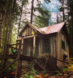 Opal Creek Ancient Forest Center